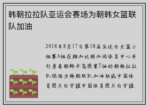 韩朝拉拉队亚运会赛场为朝韩女篮联队加油