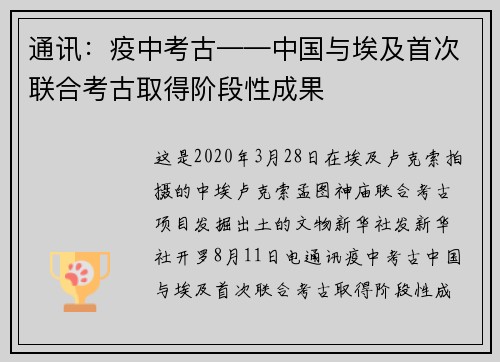 通讯：疫中考古——中国与埃及首次联合考古取得阶段性成果